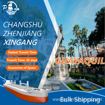 Bulk Shipping From Tianjin To Guayaquil